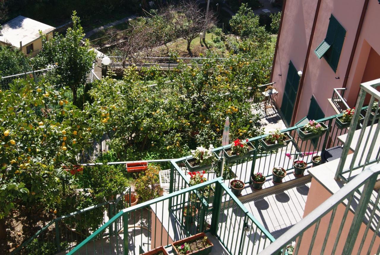 דירות מונטרוסו אל מארה Chez Reny Terrazza Vista Mare מראה חיצוני תמונה